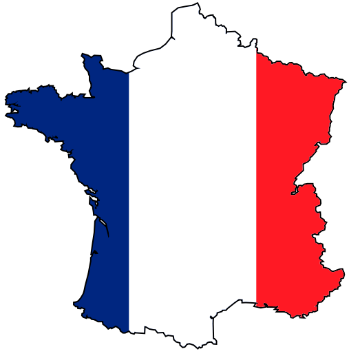 A emergência dos negros franceses – “Noirs”