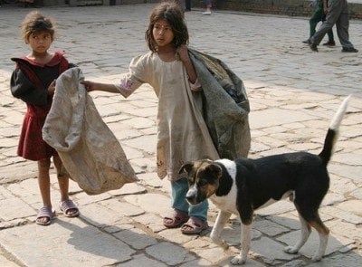 street-children-begging1