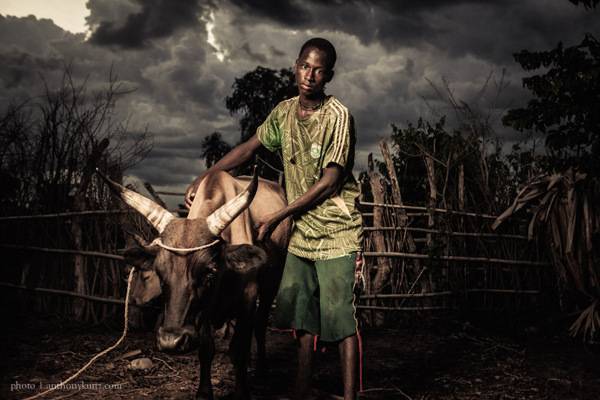 Untitled (Boy with Cattle #1 )