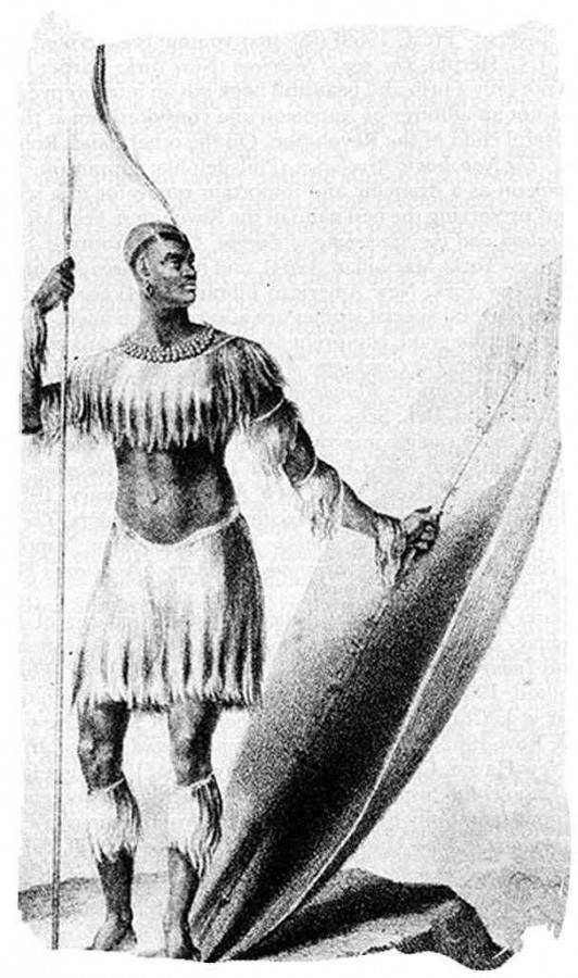 O único desenho conhecido do Rei Shaka de pé com sua lança assegai e seu pesado escudo datado de 1824, quatro anos antes de sua morte foi aclamado pelo povo Zulu com Rei Shaka Zulu