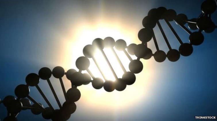 Novo exame de DNA permite identificar origem de escravos