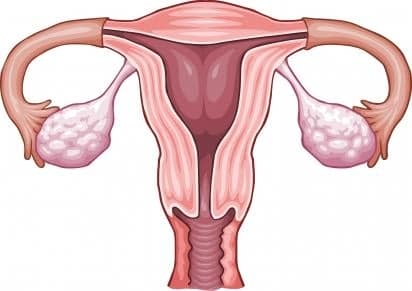 7 sinais de câncer de colo do útero que as mulheres precisam observar