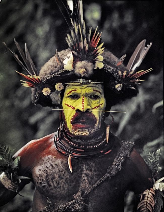 Guerreiro papua, da Nova Guiné