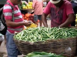 Baianos compram quiabo em locais como a Feira de São Joaquim, em Salvador (Foto: Reprodução/TV Bahia)