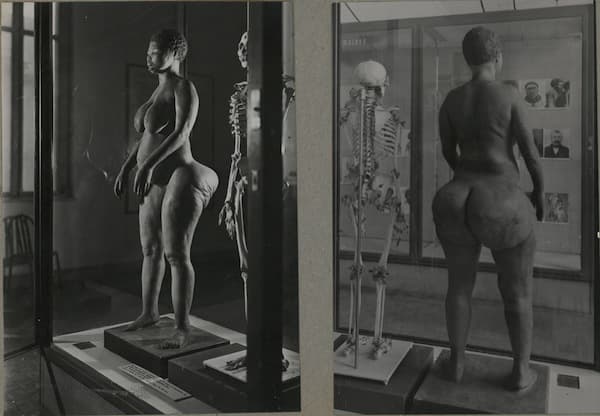Sarah Baartman morreu em 1815, mas seu esqueleto, bem como uma reconstrução de seu corpo, ficaram à exposição do público no Museu do Homem, na França, até 1975. Apenas em 2002, seus restos mortais forma devolvidos à África do Sul.