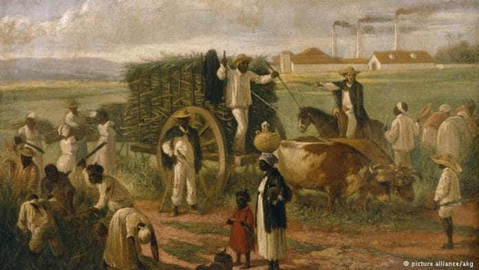 Escravos na plantação de cana de açúcar em Cuba: pintura de Patricio de Landaluze (1874)