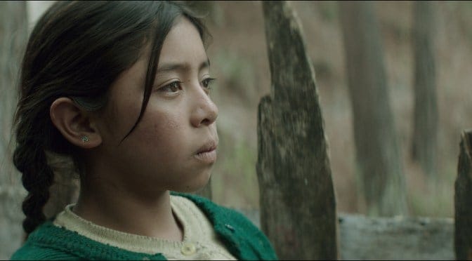 Todos os longas dirigidos por mulheres no Festival de Cinema Latino-Americano