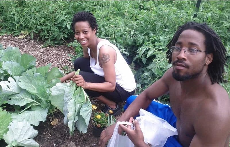 A horta comunitária que alimenta 2 mil famílias de graça