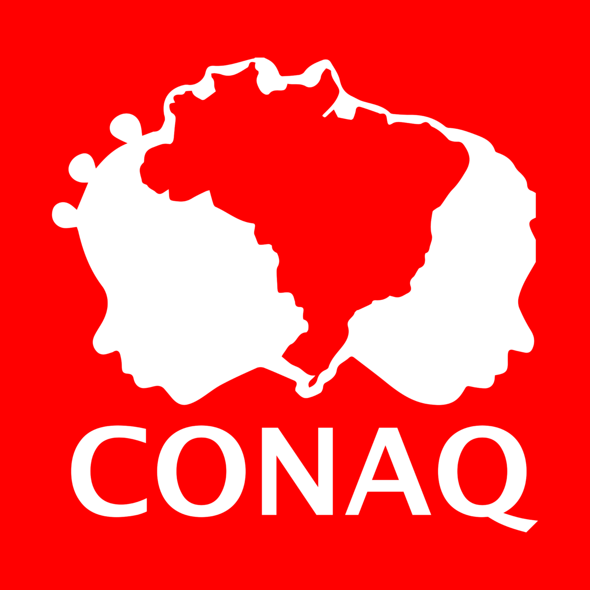 CONAQ emite carta-denúncia em resposta à Medida Provisória 870/2019