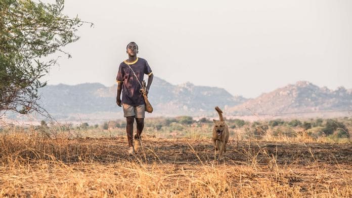menino andando em campo na Africa seguido por um cachororro