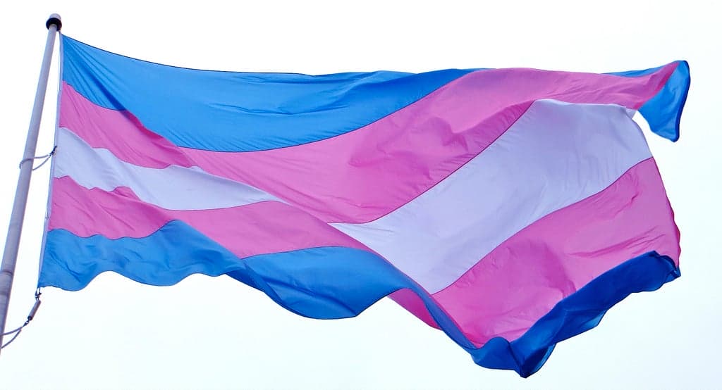 OMS retira a transexualidade da lista de doenças mentais Publica