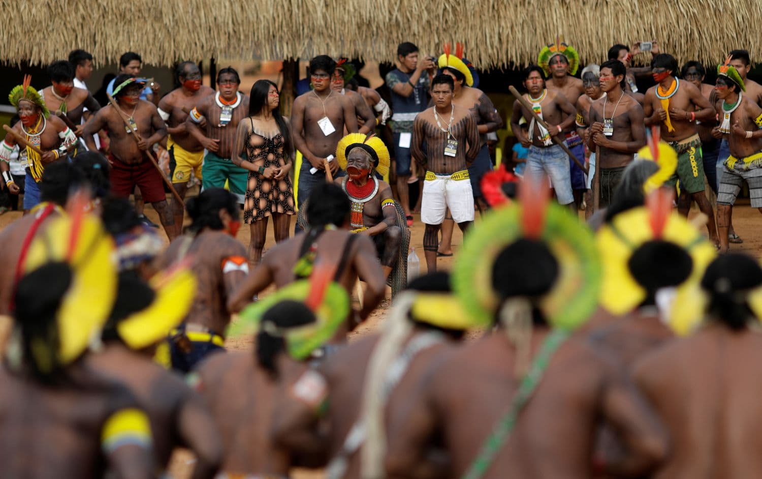 A semana em que 47 povos indígenas brasileiros se uniram por um manifesto antigenocídio