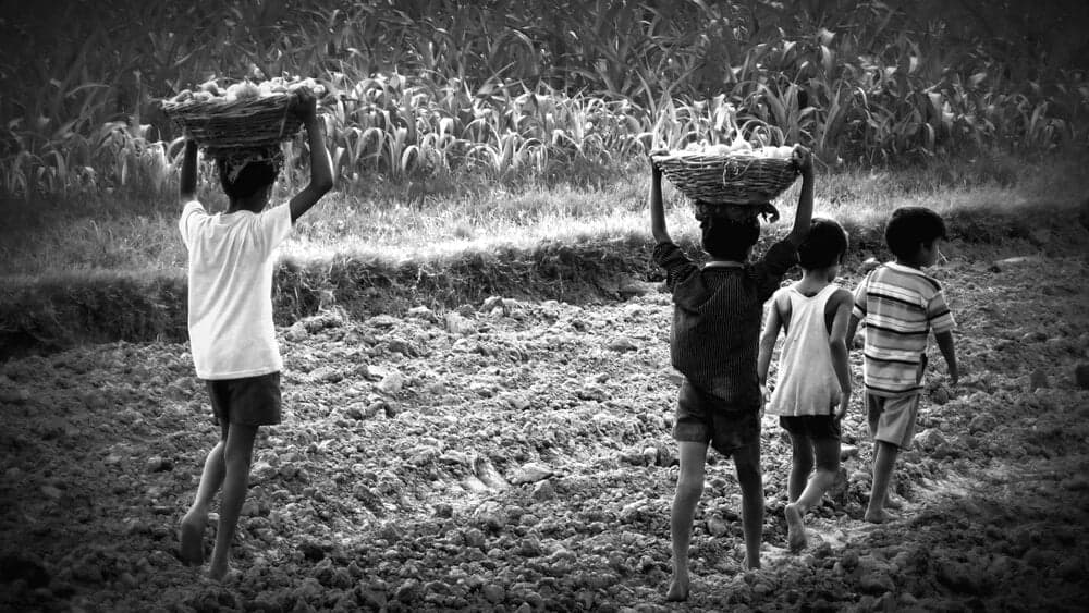 Pesquisadora: “Se trabalho infantil fosse bom, seria privilégio de ricos” 