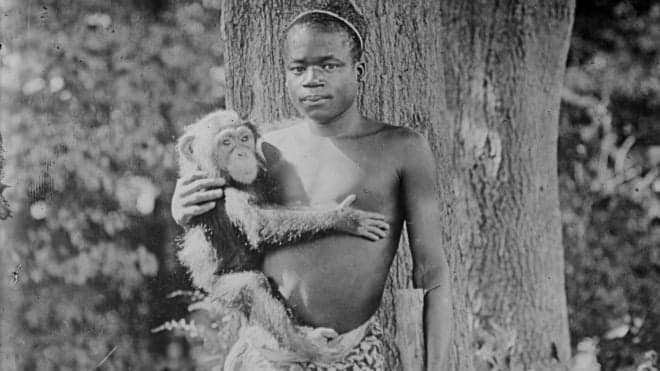 Após 114 anos, zoológico dos EUA se desculpa por exibir jovem negro em jaula de macacos