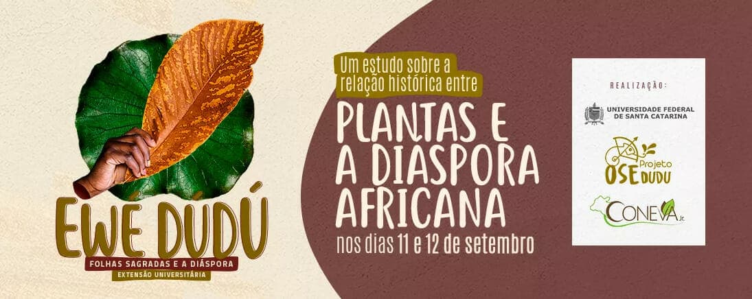 Curso sobre plantas sagradas e diáspora africana está com inscrições abertas
