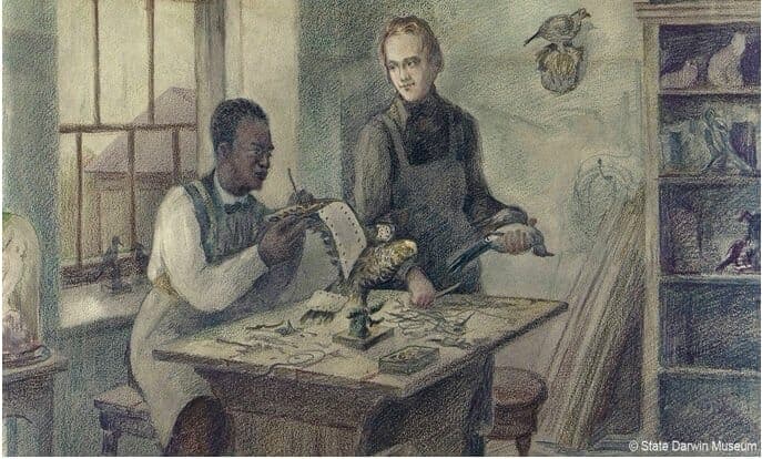A história de John Edmonstone, o ex-escravizado que ensinou Charles Darwin, por Luis Gustavo Reis