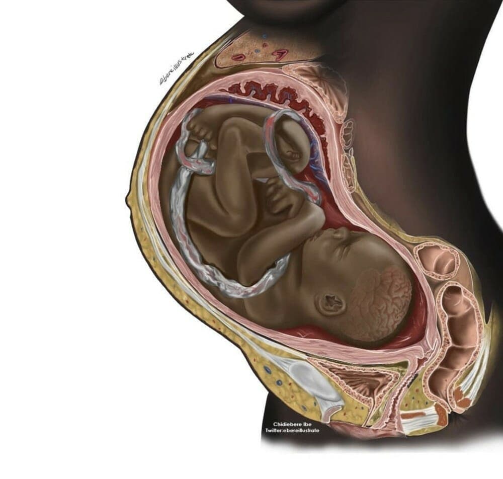 Ilustração de mãe e feto negros viraliza: conheça o estudante de medicina da Nigéria por trás do desenho