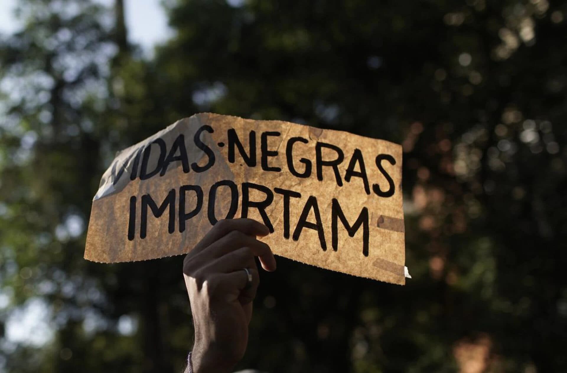 Dia Nacional da Consciência Negra e os novos ventos democráticos Grupo Técnico de Igualdade Racial da Transição de Governo Lula 20/11/2022