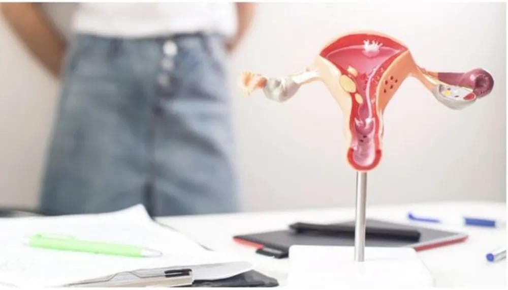 Os países que garantem licença menstrual em lei